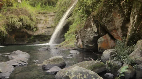 Concord waterrfall in Grenada in the Caribbean Stock Footage 24566239