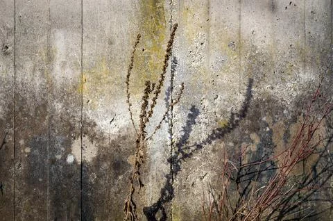 Concrete and Shadow Stock Photos