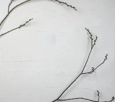 Concrete background and texture close up Stock Photos