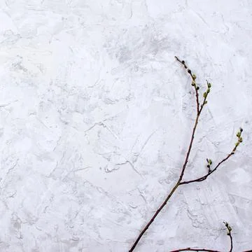 Concrete background and texture close up Stock Photos