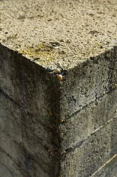 Concrete background Stock Photos