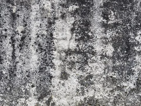 Concrete background Stock Photos