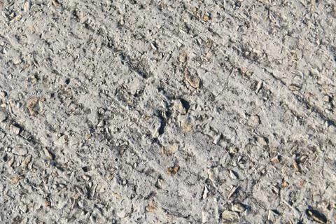 Concrete Background Texture Foto stock