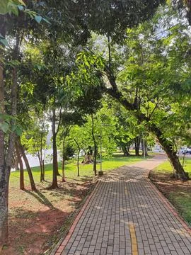Concrete block path between trees in a park in summer Stock Photos