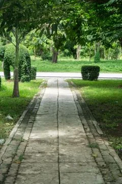 Concrete block pathway with tree and flowers in the park Stock Photos