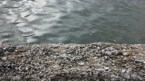 Concrete block with water at the back 스톡 동영상 124008720