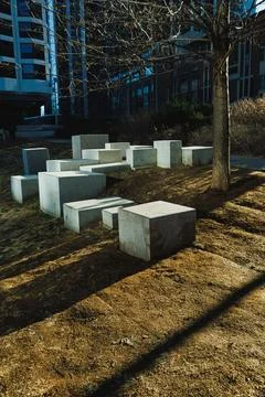 Concrete blocks are placed on bare ground in a park setting. A tree stands ne Stock Photos