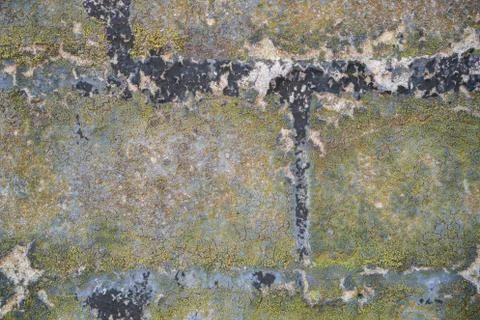 Concrete blocks with moss texture Stock Photos