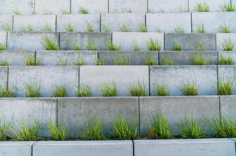 Concrete blocks planted with grass in stepped planters Stock Photos