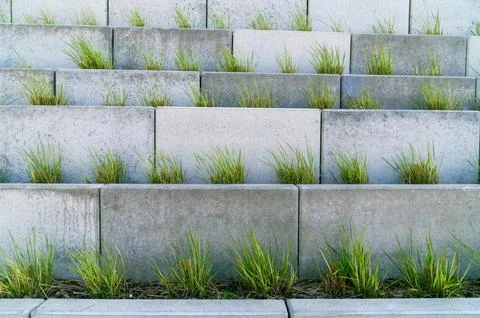 Concrete blocks planted with grass in stepped planters Stock Photos