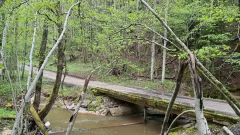 Concrete bridge across a small forest river. Stock Footage 302445449