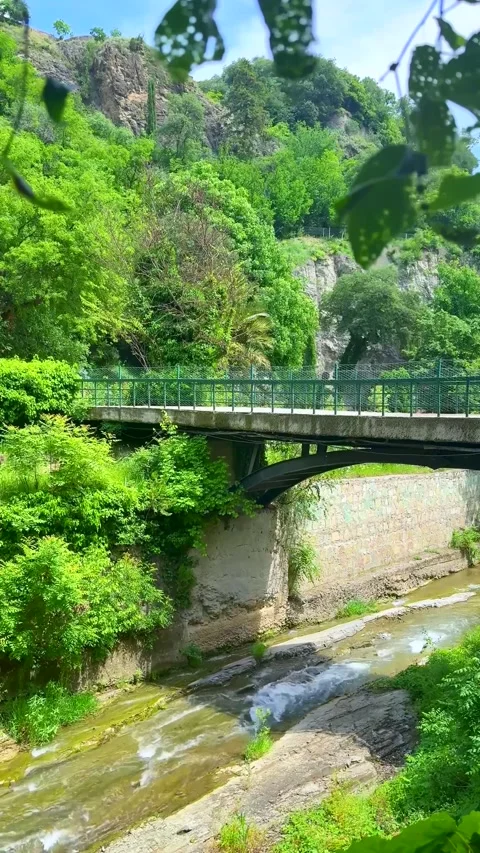 Concrete Bridge Over Flowing Stream Surrounded by Lush Green Forest Hills Stock Footage 310210000