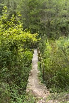 A concrete bridge over a forest path Foto stock