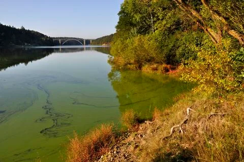 Concrete bridge Stock-Fotos