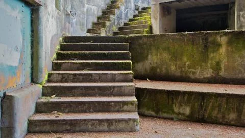 Concrete bunker steps left Stock Photos
