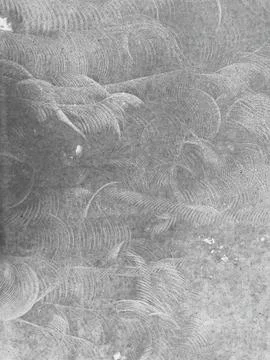 Concrete close up texture Stock Photos