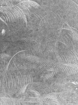 Concrete close up texture Stock Photos