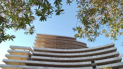 Concrete construction of a high-rise building framed by green leaves on tree Stock Footage 233045481