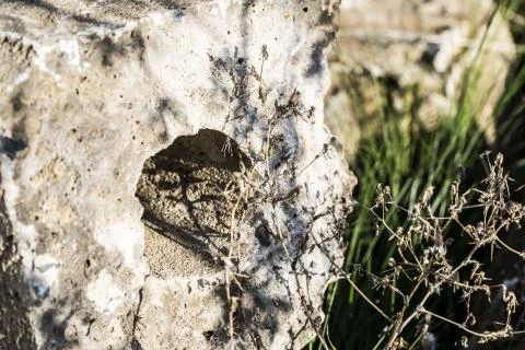 Concrete cubes Stock Photos