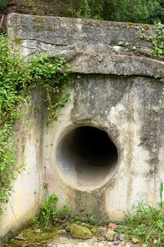 Concrete culvert drain pipe infrastructure in forest Foto stock