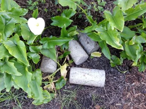 Concrete Cylinders in a flowerbed Stock Photos