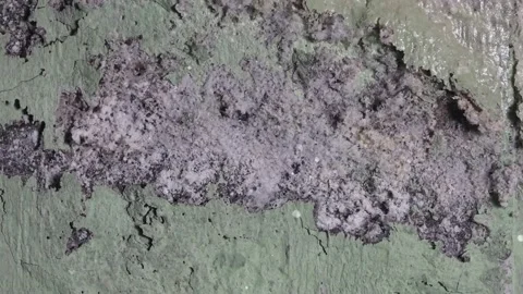 Concrete decay. Wall changes from new to old surface . 3d animation Stock-Footage 130769084