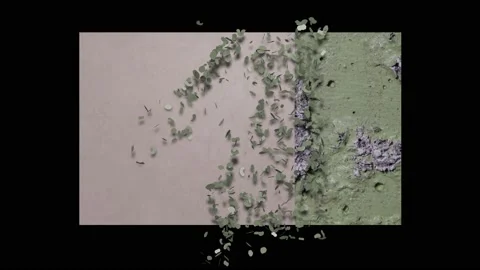 Concrete decay. Wall changes from old to new. 3d animation Stock-Footage 130614299