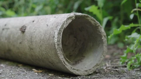 Concrete Drainage Pipe Lying in Overgrown Green Forest | Abandoned Industrial 스톡 동영상 337374588