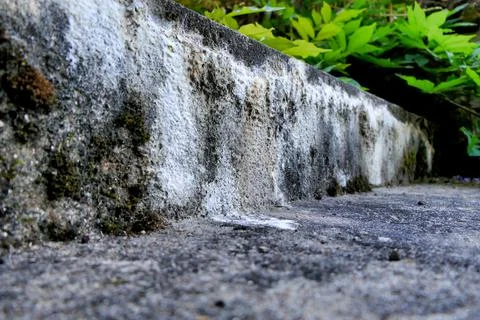 Concrete Efflorescence. Stock Photos