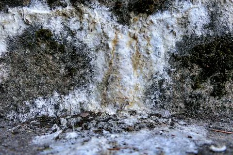 Concrete Efflorescence. Stock Photos