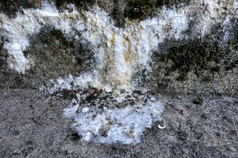 Concrete Efflorescence. Foto stock
