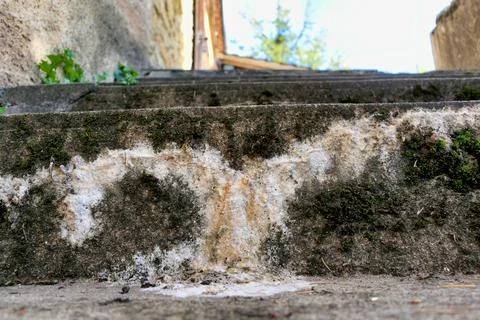 Concrete Efflorescence. Stock Photos