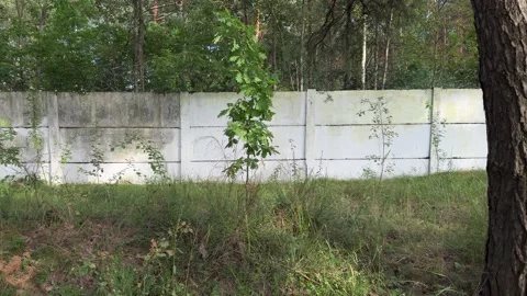 Concrete fence panel wall with overgrown grass and trees in forest 库存影片 340514927