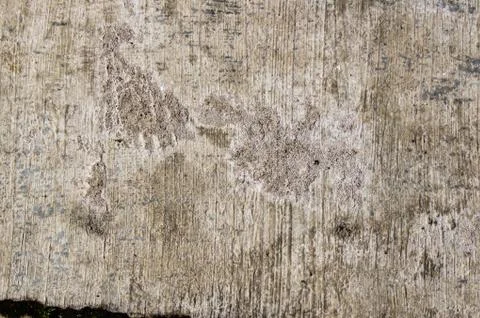 Concrete floor with interesting textured pattern Stock-Fotos