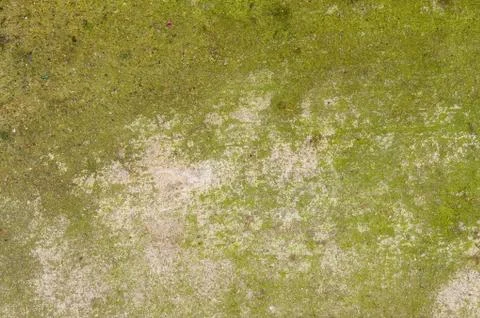 Concrete floor with interesting textured pattern 写真素材