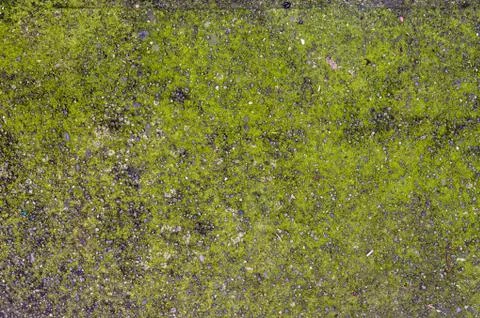 Concrete floor with interesting textured pattern Stock-Fotos