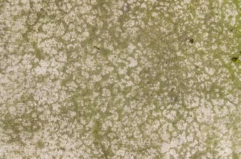 Concrete floor with interesting textured pattern Stock-Fotos