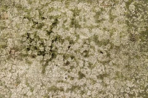 Concrete floor with interesting textured pattern Stock Photos