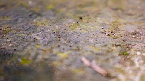 Concrete floor texture as background Stock Photos