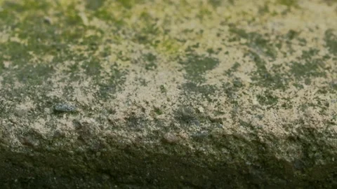 Concrete floor texture in macro, smooth dolly shot Video stock 131117448