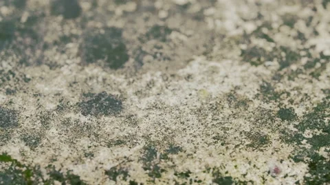 Concrete floor texture in macro, smooth dolly shot Stock Footage 134649748