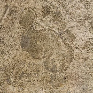 Concrete floor texture Stock Photos