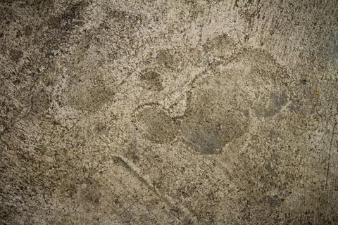 Concrete floor texture Stock Photos