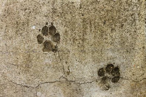 Concrete floor texture Stock Photos