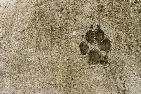 Concrete floor texture Stock Photos