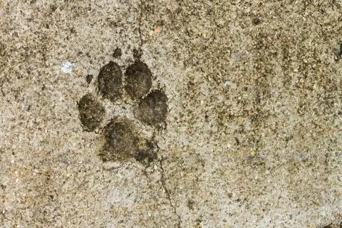 Concrete floor texture Stock Photos
