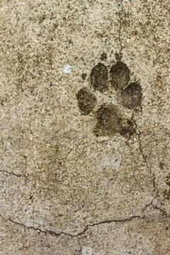 Concrete floor texture Stock Photos