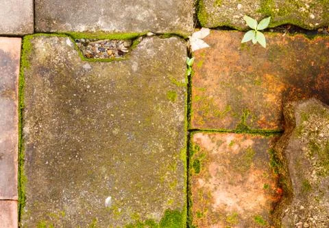 Concrete floor texture Stock Photos