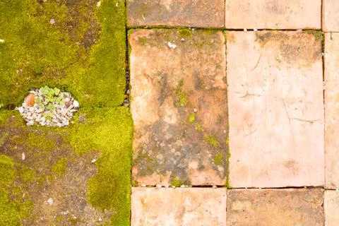 Concrete floor texture Stock Photos