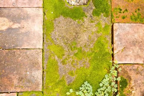 Concrete floor texture Stock Photos